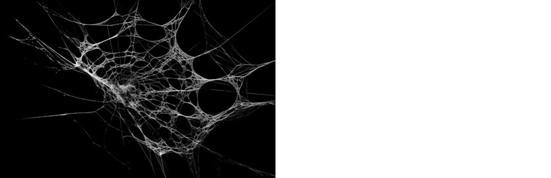 Spider web texture overlay with black preview and transparent version for creepy layouts, Halloween artwork, horror posters and visual effects.
