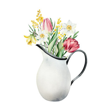 Watercolor spring flowers bouquet in white vintage jug. Hand drawn botanical illustration, tulip and mimosa floral arrangement isolated on background for Mothers Day greeting card. Rustic enamel pitc