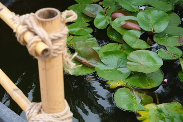 Fotobehang Badkamer Bamboo water feature with rope bindings beside lily pads on a reflective garden pond. Japanese garden design, tranquil nature and traditional landscape concept.  © Андрей Журавлев