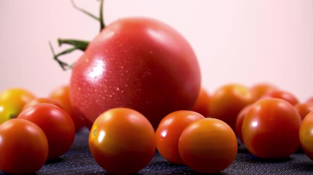 Low Angle View of Rotating Large Slicing Tomato and Tiny Orange Cherries