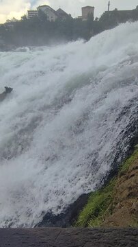 Waterfall rheinfall water stream fall, Rhine river cascades in Switzerland. Power of Nature.