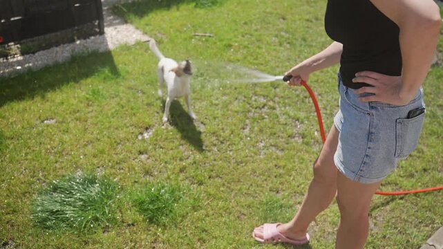 Woman spraying playful dog with garden hose in backyard
