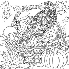 Obraz premium A raven is sitting on a basket of pumpkins. Autumn.Simple drawing.Coloring book antistress for children and adults. 