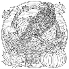 Fototapeta premium A raven is sitting on a basket of pumpkins in round frame. Autumn.Coloring book antistress for children and adults. 
