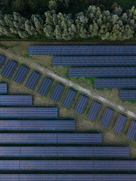 Aerial view of a large solar farm with rows of photovoltaic panels arranged in a field, bordered by a line of trees in Ankeveen, North Holland, Netherlands.