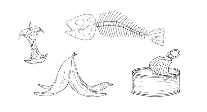 Vector organic waste icon set with fish bone and apple core. Minimalist hand drawn graphic line art collection for sorting garbage infographic. Clean environmental conservation concept with banana pe