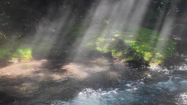 夏の立岩水源　阿蘇