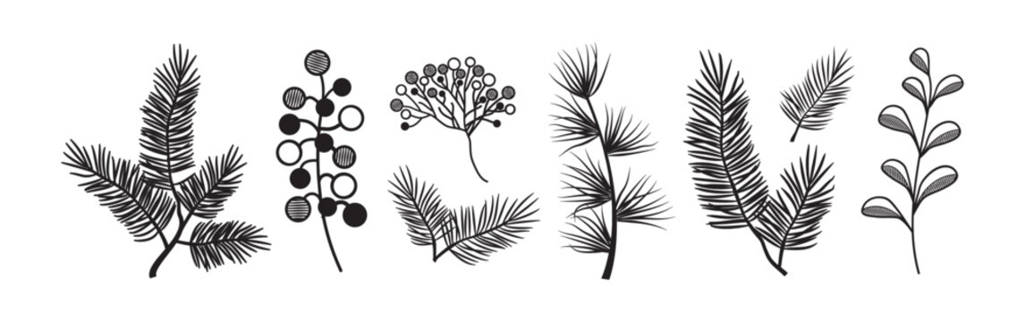 Christmas branch pine, fir silhouette, black needle twig. Xmas decoration plant, New Year winter evergreen brunch, autumn hand drawn plant isolated on white background. Rustic cute vector illustration