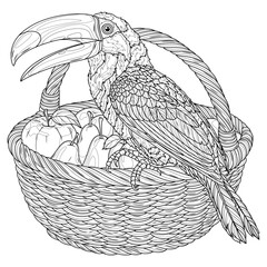 Obraz premium Toucan and a basket of fruit.Coloring book antistress for children and adults. 