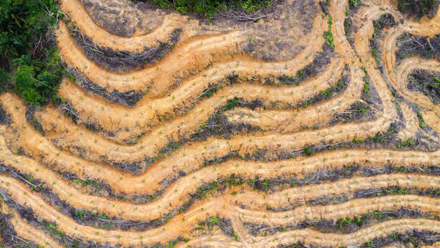 Aerial view of terraced soil patterns in a deforested area with exposed orange earth and remnants of vegetation in Batang Serangan, North Sumatra, Indonesia.
