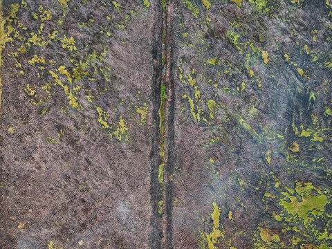 Aerial view of a dark, mossy ground surface with a central vertical crevice and patches of vibrant green lichen in Indonesia.