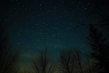 Fototapeta premium landscape with dense stars above silhouetted winter trees beneath a deep teal night sky, photorealistic
