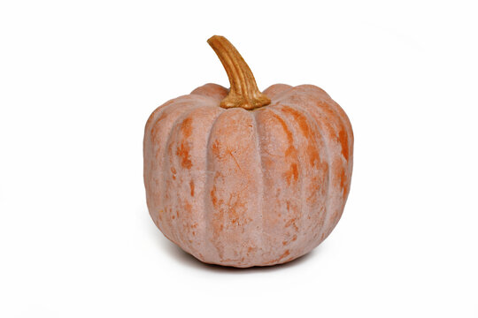Pastel orange 'Cucurbita Moschata Autumn Frost F1' pumpkin on white bakcground