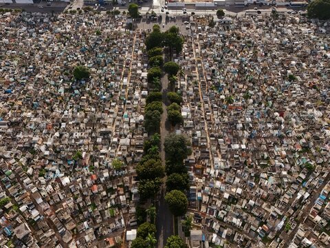 Aerial view of Maximo Gomez National Cemetery with dense rows of tombs and graves separated by a central tree-lined path in Santo Domingo, Distrito Nacional, Dominican Republic.