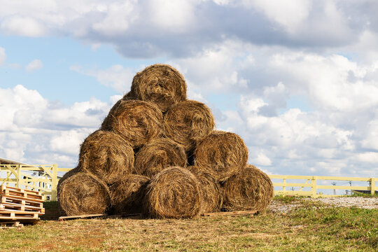 round hay bales are stacked in a pyramid beneath dramatic summer clouds, presenting harvested livestock feed, rural agriculture, seasonal work and food security