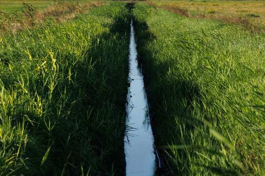 A narrow drainage ditch filled with water runs straight through a lush green grassy field on a sunny day.