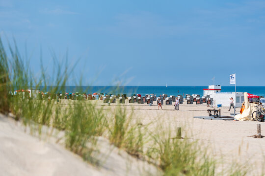 Gras auf Sandd&uuml;nen an der Ostsee