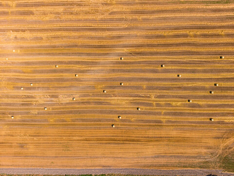 Aerial view of a harvested agricultural field with scattered hay bales, showing textured golden stubble and linear patterns in Devnya, Varna, Bulgaria.
