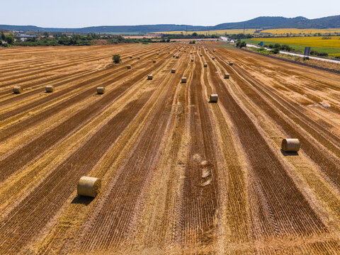 Aerial view of a vast harvested wheat field dotted with numerous round hay bales, featuring parallel rows of stubble and distant rolling hills in Devnya, Varna, Bulgaria.