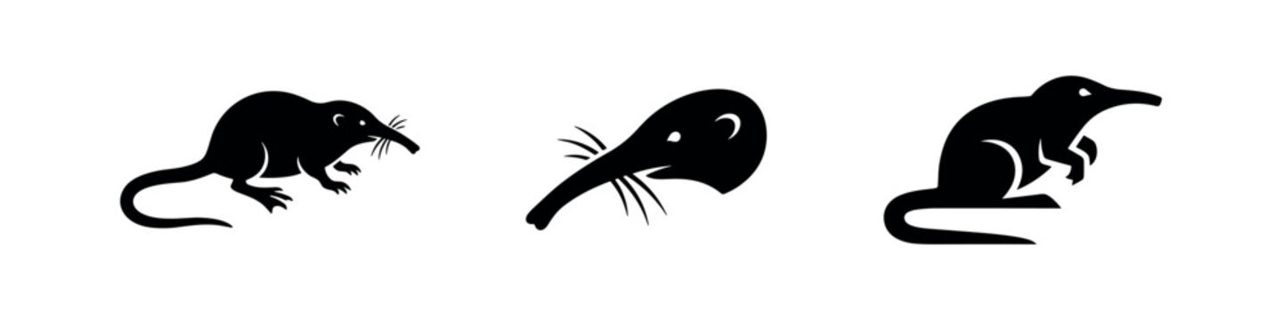 Desman and long nosed shrew icons