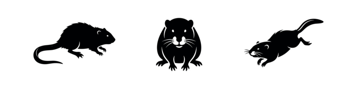 Muskrat and water rat silhouette set