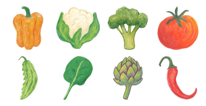 Colorful hand-drawn vegetable illustrations