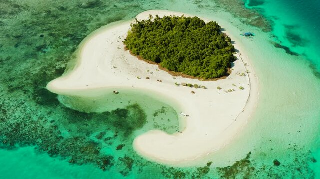 Aerial view of sandy beach on a tropical island with palm trees by coral reef atoll. Patawan island with sandy beach. Summer and travel vacation concept.
