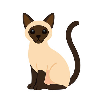 Cute Siamese Cat Illustration