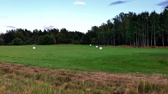 White plastic wrapped hay bales scattered across a green agricultural field near a forest edge under a blue evening sky, showing rural farming landscape and silage storage.