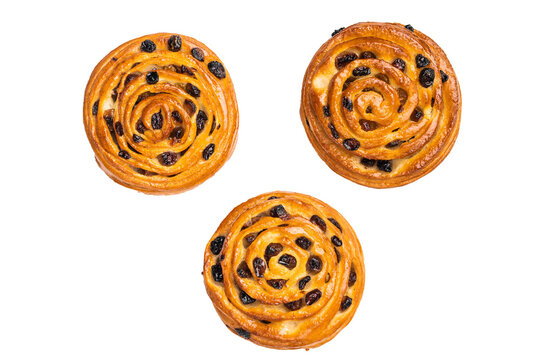 Danish raisin pastry swirls isolated on white background. top view
