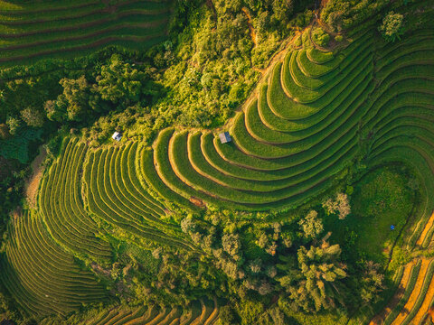 Aerial view of the lush green rice terraces at Kim Noi Viewpoint with small wooden huts nestled into the steep hillsides in Mu Cang Chai, Lao Cai, Vietnam.