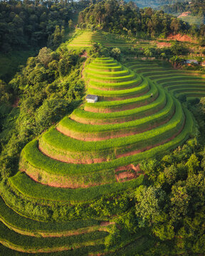 Aerial view of Kim Noi Viewpoint featuring lush green terraced rice fields carved into the hillsides with a small hut and dense forest in Mu Cang Chai, Lao Cai, Vietnam.