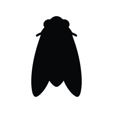 A black and white silhouette Codling Moth Vector