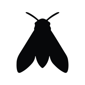 A black and white silhouette Codling Moth Vector