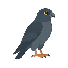Fototapeta premium Cartoon Falcon Bird