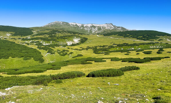Green mountain of Schneeberg Alps - Lower Austria.