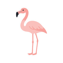 Fototapeta premium Pink Flamingo Illustration