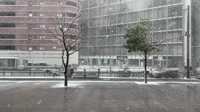 横浜で降る珍しい吹雪