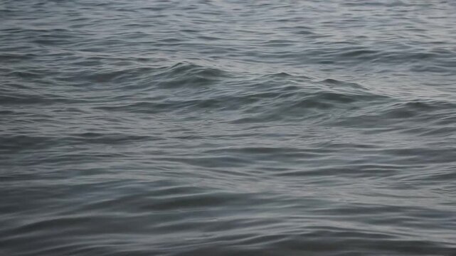 Superficie d'acqua del mare non lontano dalla riva
