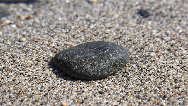 Dark pebble rests on coarse sand under bright daylight.