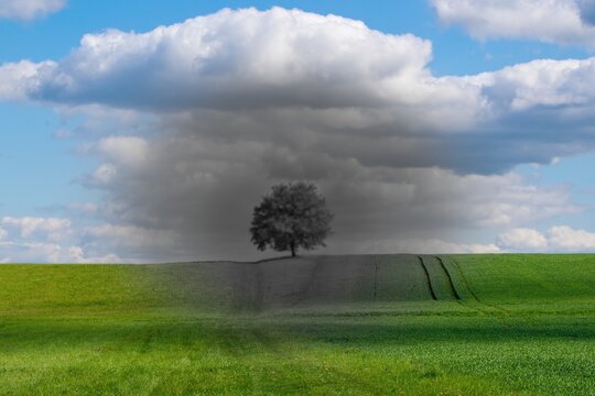 Macular degeneration is a medical condition which may result in  blurred or no vision in the center of the visual field.