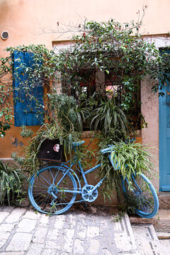vintage blue bike entwined with green plants against rustic wall in charming alleyway