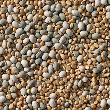 Pulses, grains and seeds create a tactile mixed food texture with a powdery bloom for packaging design and background copy space