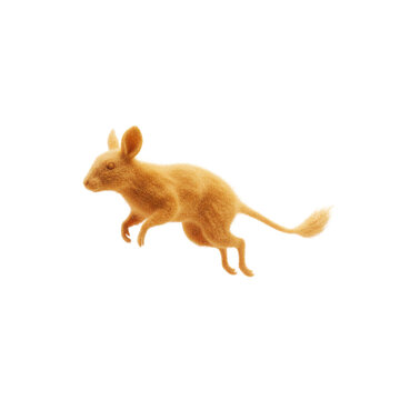 Small Jumping Golden Rodent or Desert Jerboa Character