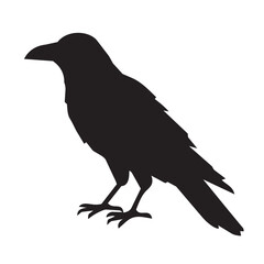 Obraz premium Black raven silhouette with detailed feathers and bird profile isolated on a clean white background