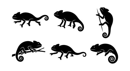 Fototapeta premium Collection of Chameleon Silhouettes Showcasing Various Reptile Poses, Vector Illustration