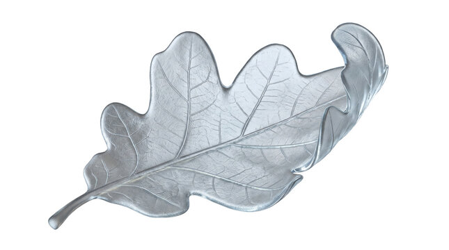 Metallic silver autumn oak leaf decorative element isolated on white background with fall foliage metal texture silver decoration isolated object