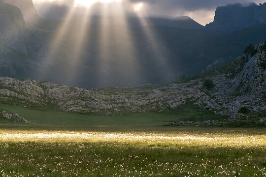 Sun rays over a meadow in Picos de Europa