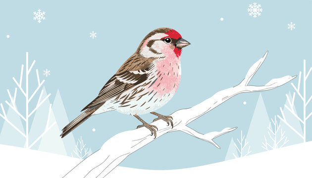 Winter scene illustration with a cute pink finch bird perched on a snowy white tree branch against a pale blue sky.