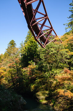加賀市山中温泉・あやとり橋と紅葉
